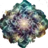 Avya